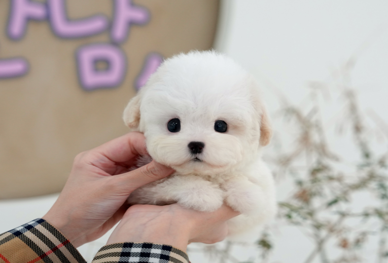 KakaoTalk_20260901_153339035.png