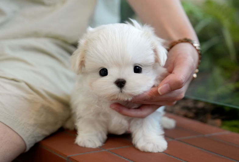 KakaoTalk_20260906_145231715.png