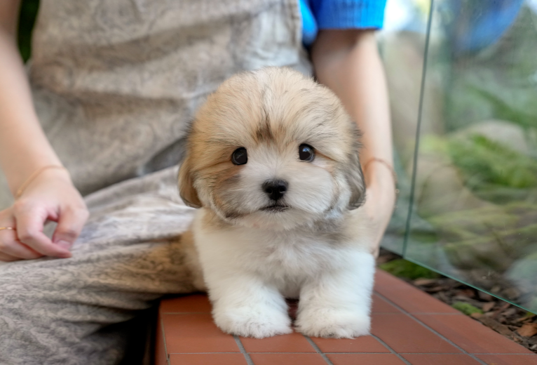 KakaoTalk_20261011_162016633.png