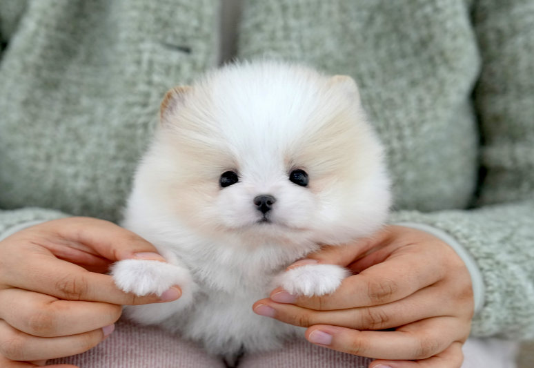 KakaoTalk_20260919_130833326.png
