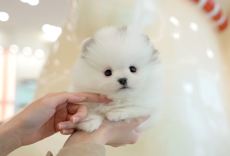 KakaoTalk_20260918_144521852.png