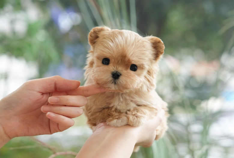 KakaoTalk_20260907_134526231.png