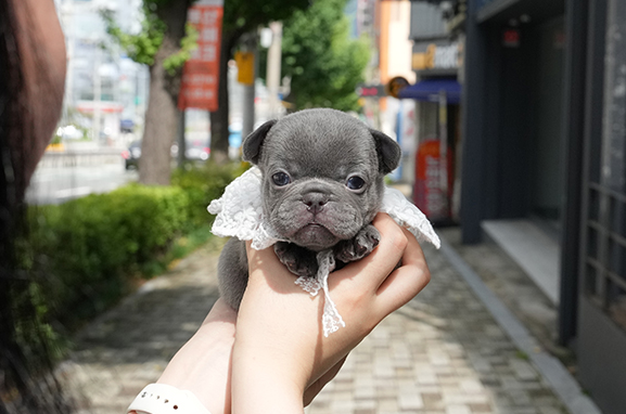 KakaoTalk_20261013_120730037.png