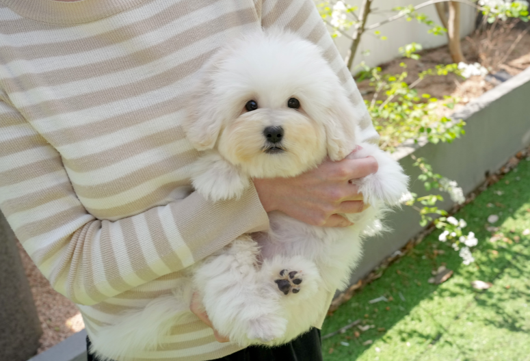 KakaoTalk_20261012_134747198.png
