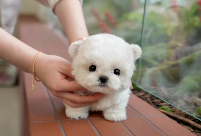 KakaoTalk_20260928_165352674.png