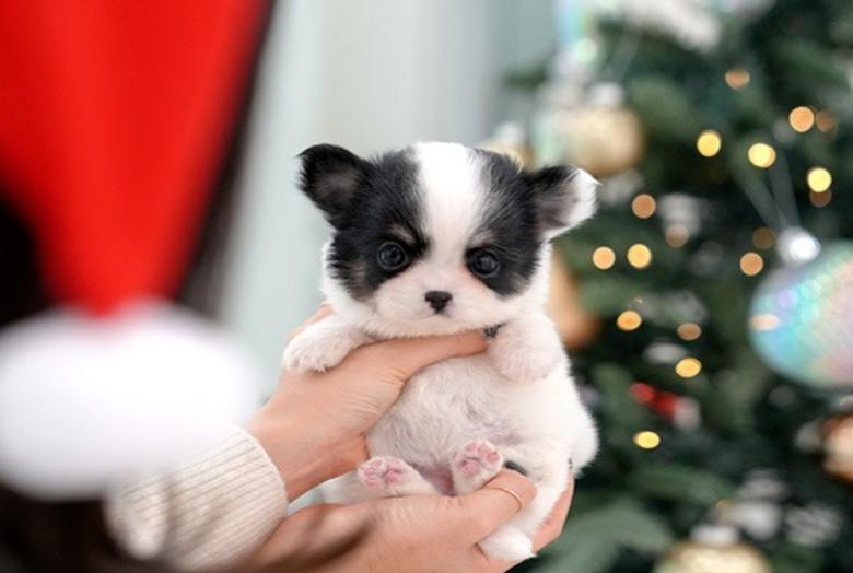 KakaoTalk_20261013_154332346.png