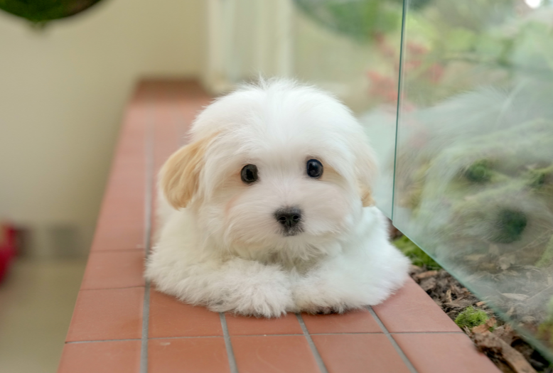 KakaoTalk_20261012_134729959.png