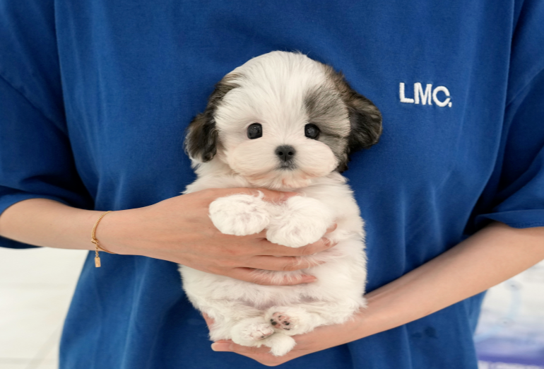 KakaoTalk_20260911_164455234.png
