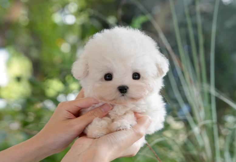 KakaoTalk_20261010_134856820.png