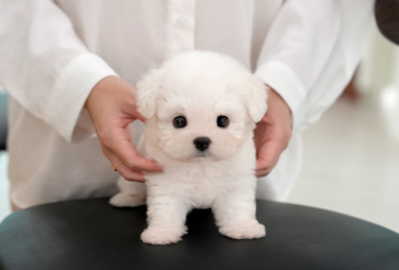 KakaoTalk_20261010_144101115.png