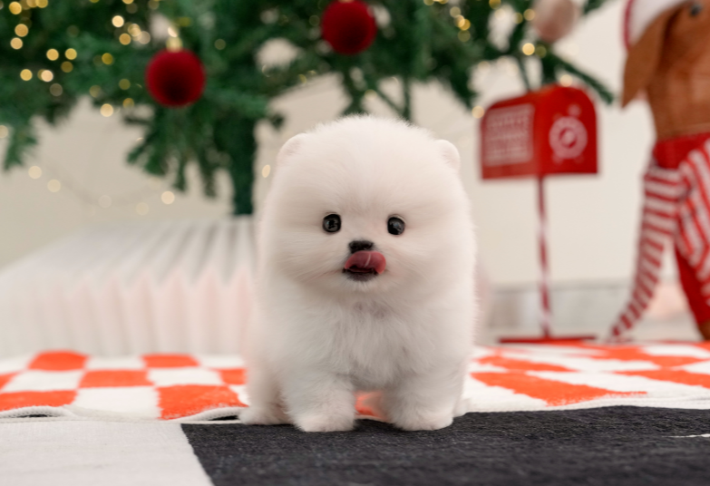 KakaoTalk_20260918_174723433.png