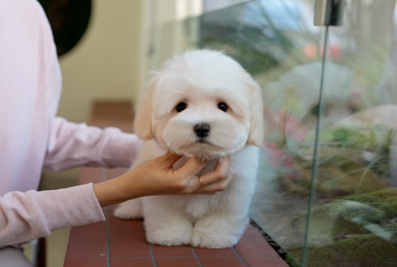 KakaoTalk_20261011_143820061.png