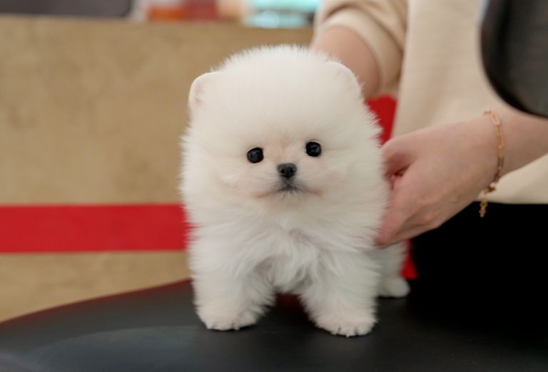 KakaoTalk_20260916_182716922.png