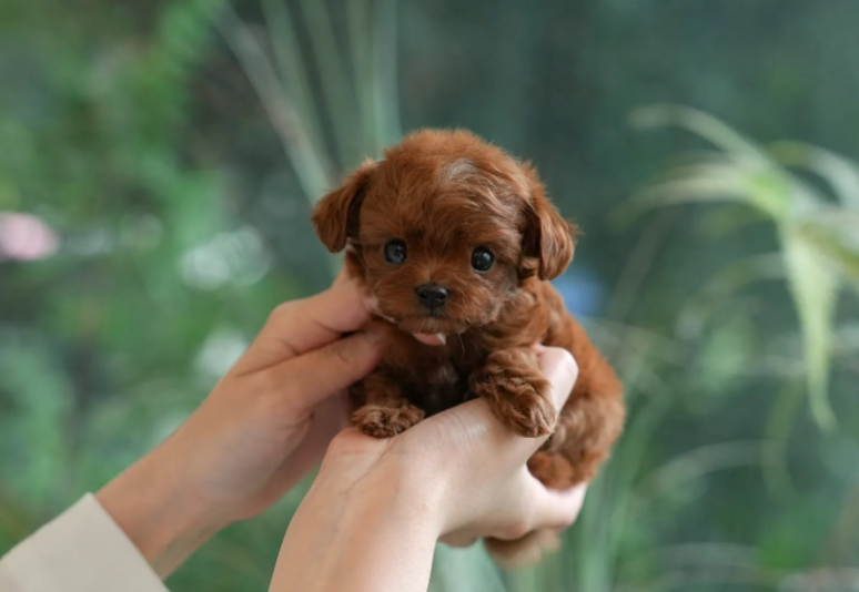 KakaoTalk_20260907_164439863.png