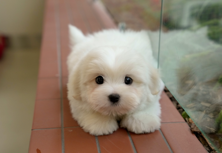 KakaoTalk_20261011_134332340.png
