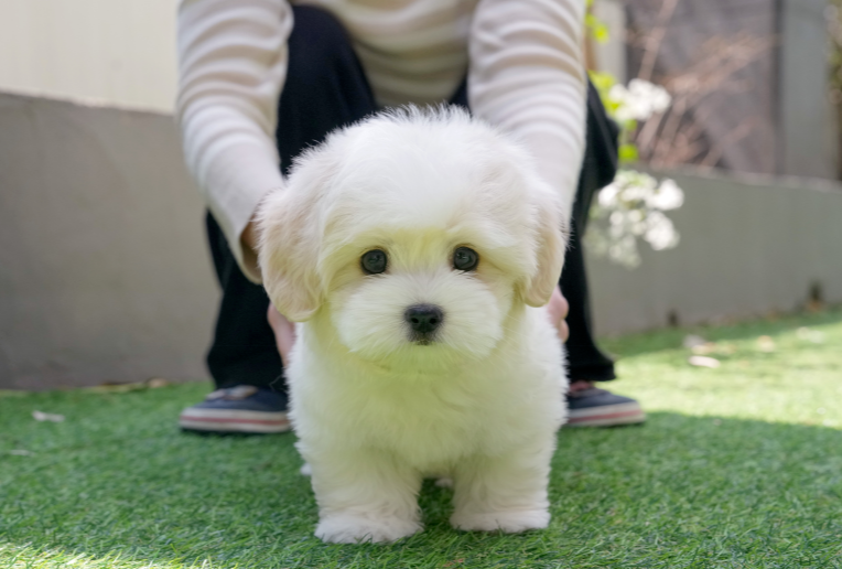 KakaoTalk_20261011_141355732.png