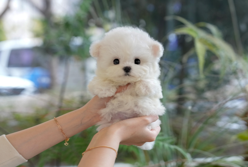 KakaoTalk_20260927_151243960.png